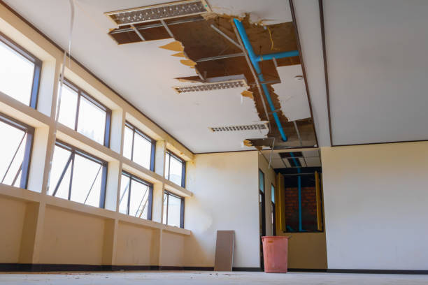Best Ceiling water damage repair  in Ama, LA