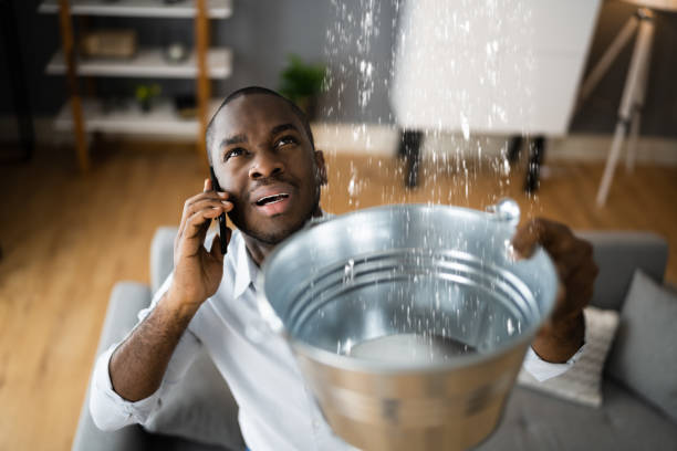 Best Water damage restoration near me  in Ama, LA