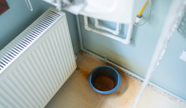 Best Water damage contractors near me  in Ama, LA