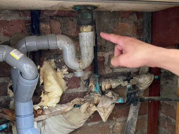 Best Commercial water damage restoration  in Ama, LA